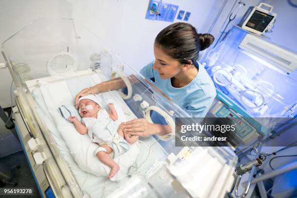 latin american newborn premature baby in the nicu and sweet nurse trying to calm him - prematuro imagens e fotografias de stock