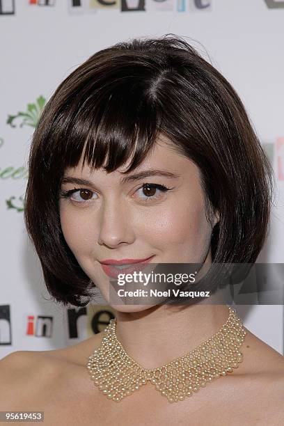 Mary Elizabeth Winstead attends the premiere of ''Youth In Revolt'' at Mann Chinese 6 on January 6, 2010 in Los Angeles, California.