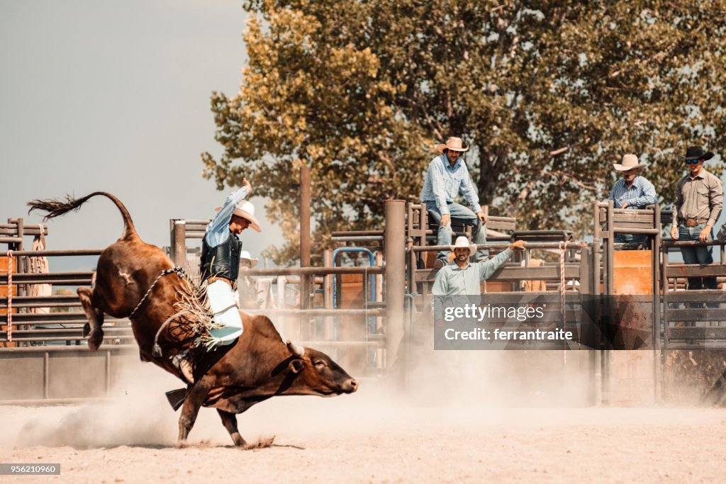 Rodeo-Wettbewerb