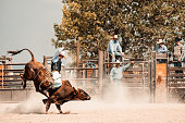 Rodeo Competition