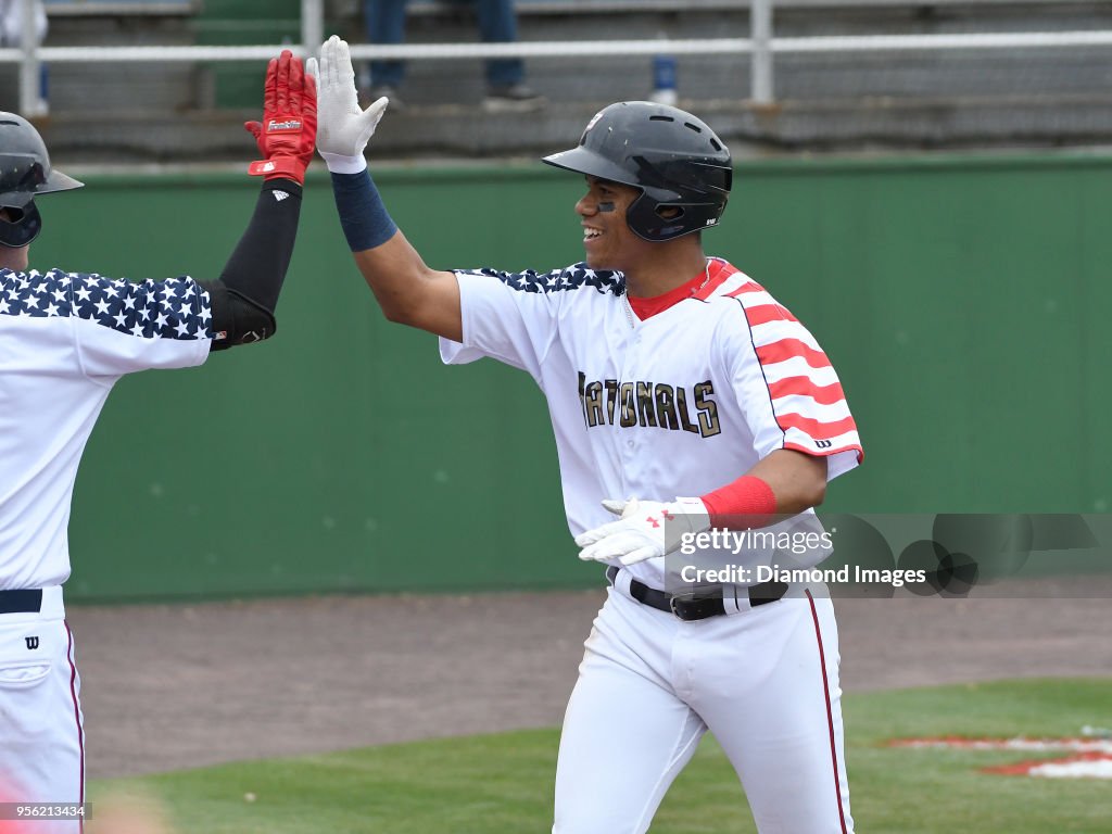 Salem Red Sox v Potomac Nationals