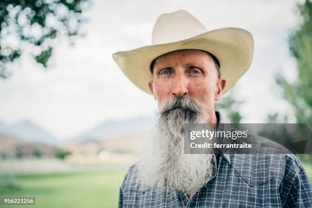 cowboy portret - american man stockfoto's en -beelden