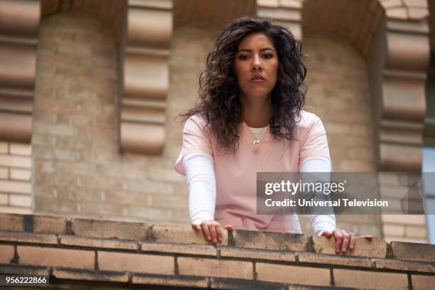 White Whale" Episode 521 -- Pictured: Stephanie Beatriz as Rosa Diaz --