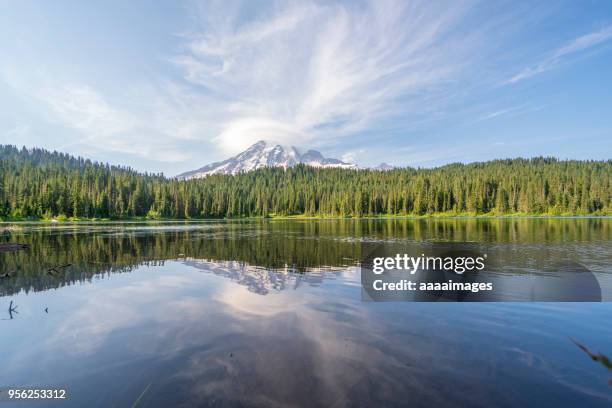 mount rainier national park - mount rainier nationalpark stock-fotos und bilder