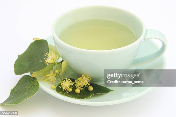 herbal tea - lime tree stock pictures, royalty-free photos & images
