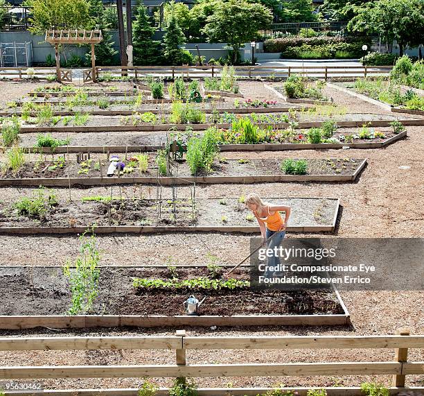 Small Rake Woman 564 Small Rake Stock Photos, High-Res Pictures, and Images - Getty Images