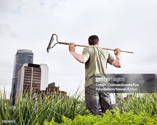 4 153 Man With Rake Stock Photos, High-Res Pictures, and Images - Getty ...