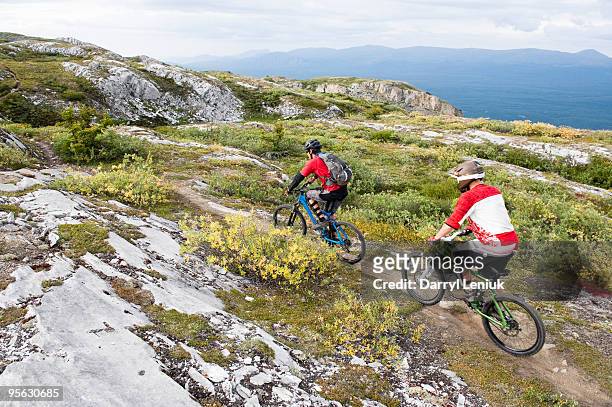 mountain bikers riding in alpine - whitehorse bildbanksfoton och bilder