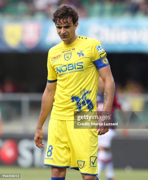 Ivan Radovanovic of AC Chievo Verona looks on during the serie A match between AC Chievo Verona and FC Crotone at Stadio Marc'Antonio Bentegodi on...