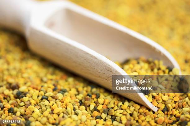 raw organic bee pollen. bee pollen granules. apitherapy - vitamin b complex stock pictures, royalty-free photos & images