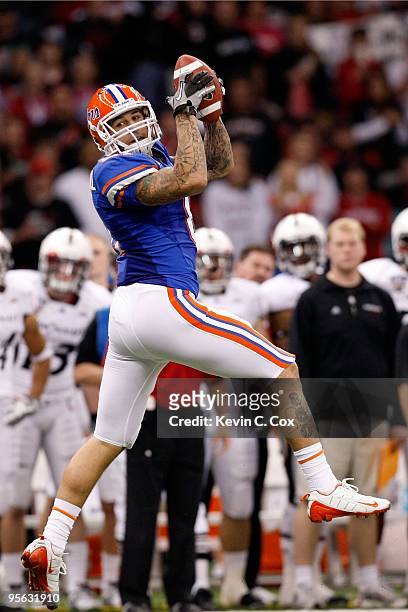 Aaron Hernandez of the Florida Gators catches a pass against the Cincinnati Bearcats during the Allstate Sugar Bowl at the Louisana Superdome on...