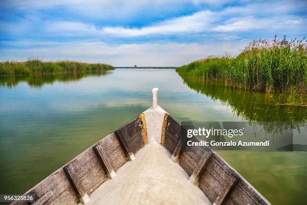 albufera of valencia natural park in valencia. - la albufera valencia stock-fotos und bilder