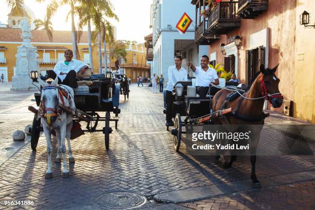 horse carts at plaza de la aduana in the old town, cartagena de indias, colombia. - aduana stock-fotos und bilder