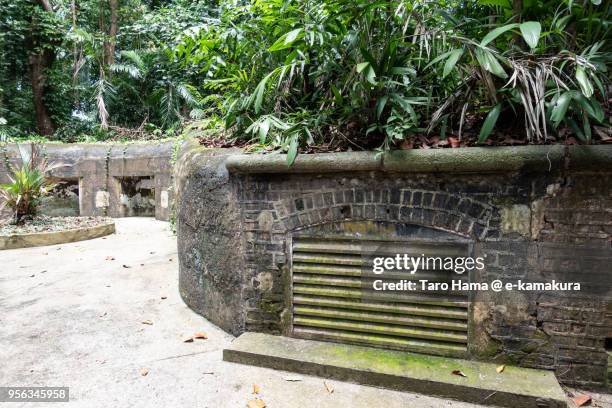 gun emplacement reserved in labrador nature reserve in singapore - labrador nature reserve stock pictures, royalty-free photos & images