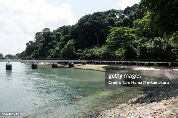 labrador nature reserve in singapore - labrador nature reserve stock pictures, royalty-free photos & images