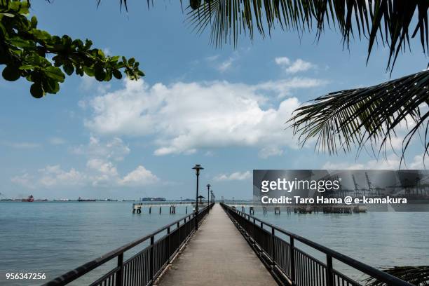 straits of singapore and labrador nature reserve in singapore - labrador nature reserve stock pictures, royalty-free photos & images