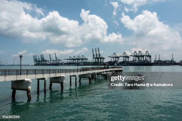 straits of singapore and labrador nature reserve in singapore - labrador nature reserve stock pictures, royalty-free photos & images