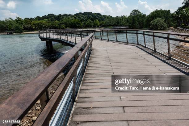 wooden pier in keppel harbor in singapore - keppel stock pictures, royalty-free photos & images