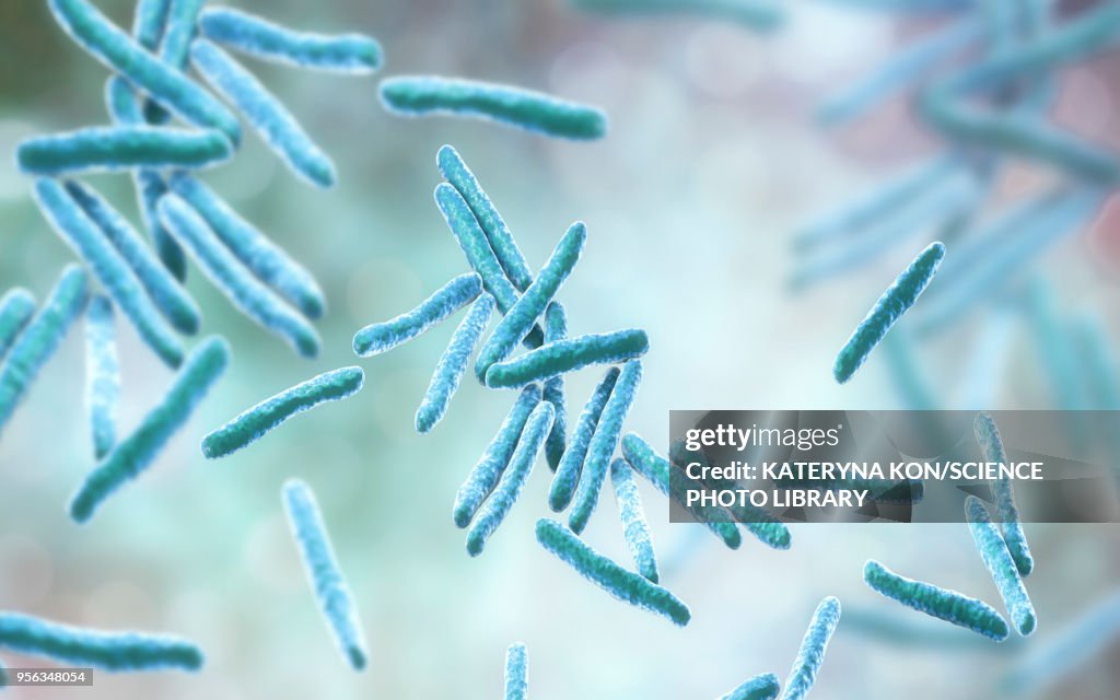 Tuberculosis bacteria, illustration