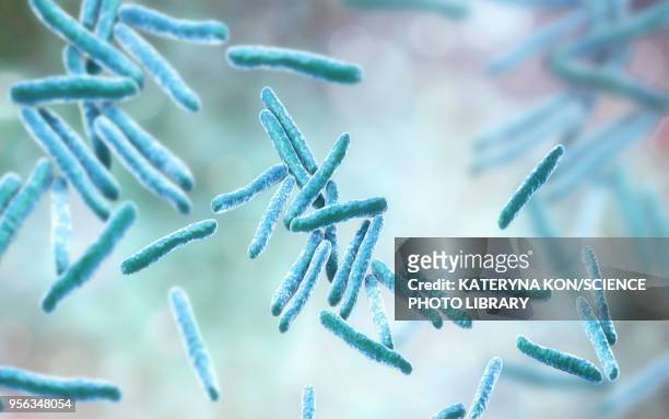 tuberculosis bacteria, illustration - bacterium stock illustrations