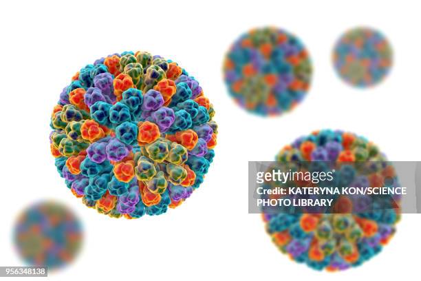 stockillustraties, clipart, cartoons en iconen met rotavirus particle, illustration - capsid