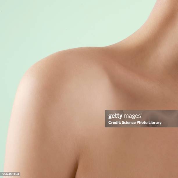 womans shoulder - shoulder ストックフォトと画像