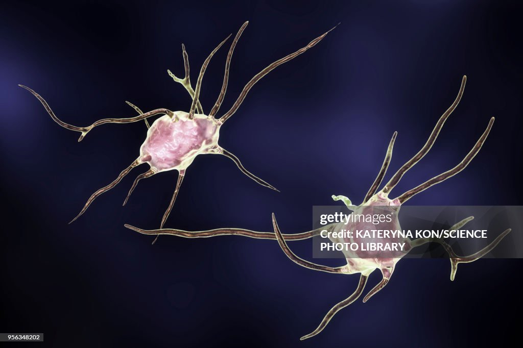Nerve Cells Computer Illustration High-Res Vector Graphic - Getty Images