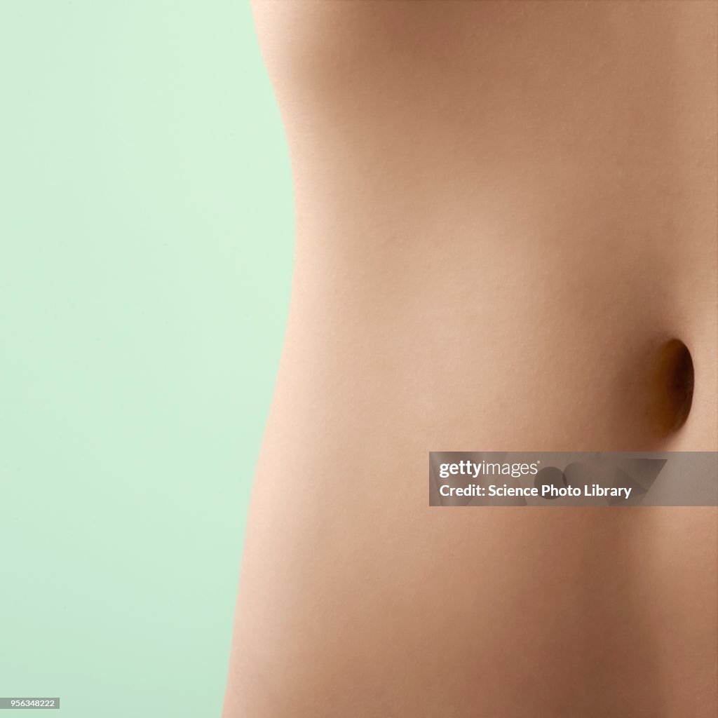 Womans abdomen