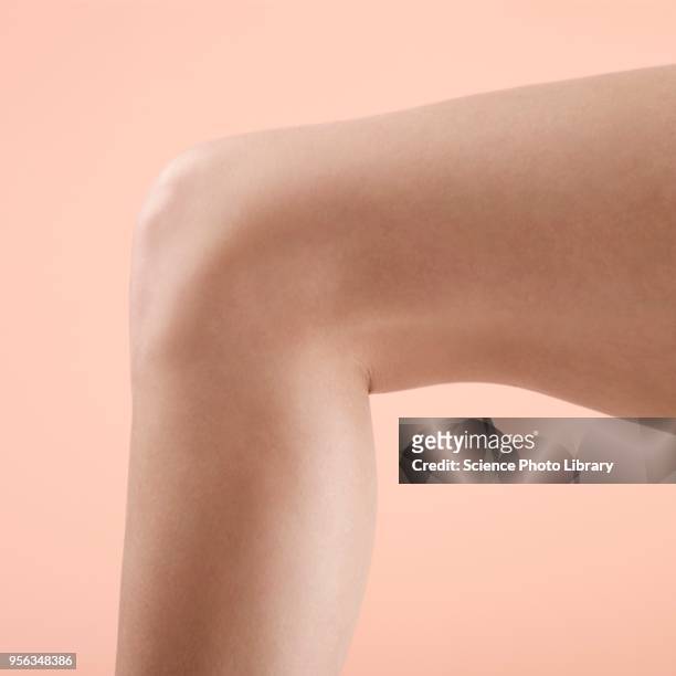 womans leg and knee - arrodillarse fotografías e imágenes de stock