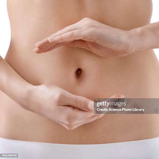 digestive health, conceptual image - partie-médiane photos et images de collection