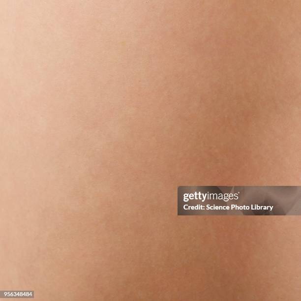 human skin - skin feature stock pictures, royalty-free photos & images