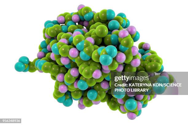 lysozyme molecule, illustration - enzyme stock illustrations