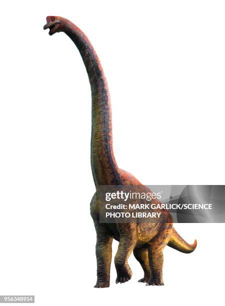 giraffatitan, illustration - jurassic 幅插畫檔、美工圖案、卡通及圖標