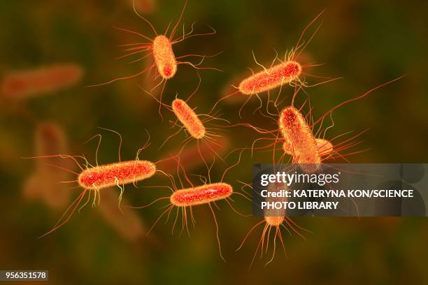 bildbanksillustrationer, clip art samt tecknat material och ikoner med e coli bacteria, illustration - bakterier