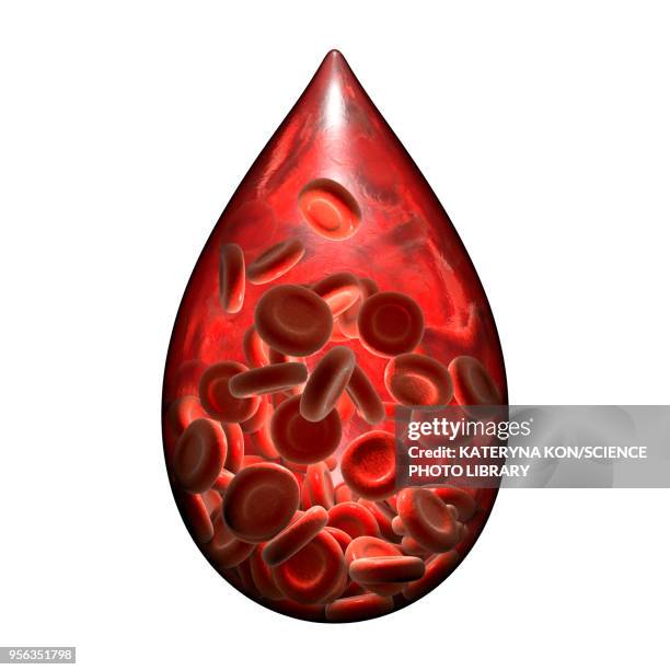 Blood Drop Thread 125 3d Blood Drop Stock Photos, High-Res Pictures, and Images - Getty ...