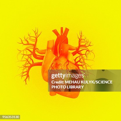 Heart against yellow background, illustration Heart against yellow background, illustration