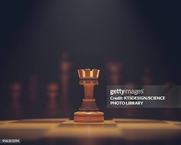 Chess Rook Shadow Rook (Chess) Photos and Premium High Res Pictures - Getty Images