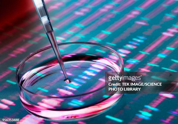 genetic research - scienza e tecnologia foto e immagini stock