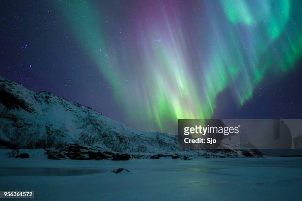 nordlicht, aurora borealis über die lofoten in nordnorwegen im winter - aurora borealis lofoten stock-fotos und bilder
