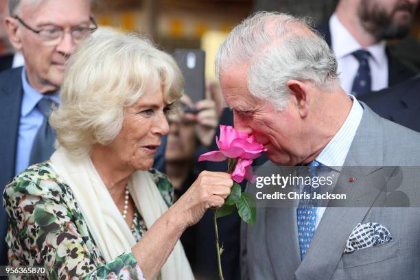 Prince Charles, Prince of Wales smells a rose offered to him by Camilla, Duchess of Cornwall during a visit to Nice Flower Market on May 9, 2018 in...
