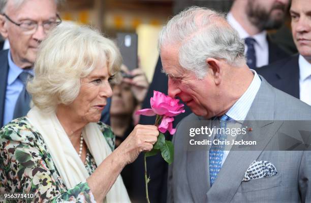 Prince Charles, Prince of Wales smells a rose offered to him by Camilla, Duchess of Cornwall during a visit to Nice Flower Market on May 9, 2018 in...