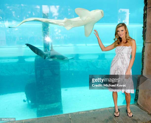 Model/TV personality Joanna Krupa attends a photo shoot during a break in the amfAR & Pokerstars Celebrity Charity Poker Tournament at Atlantis...