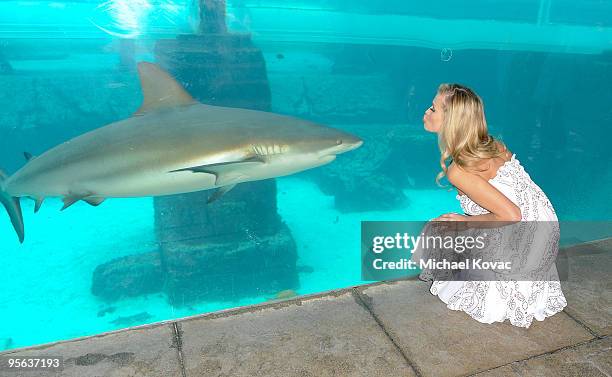 Model/TV personality Joanna Krupa attends a photo shoot during a break in the amfAR & Pokerstars Celebrity Charity Poker Tournament at Atlantis...