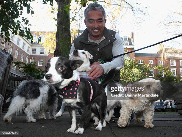 Cesar Millan attends photocall to launch his UK tour at Soho Hotel on November 25, 2009 in London, England.