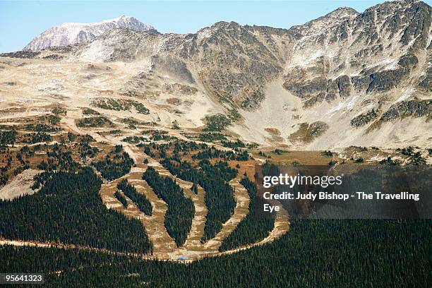 blackcomb's seventh heaven ski runs in summer - mont blackcomb photos et images de collection