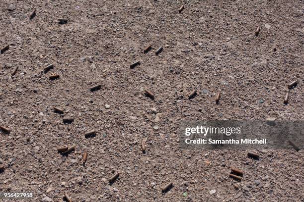 overhead view of bullet casings from semi automatic weapon at firing range at wendover, utah, usa - wendover stock pictures, royalty-free photos & images