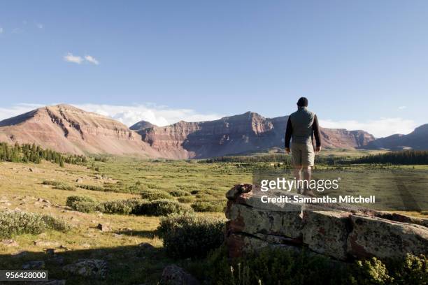 male hiker looking out over landscape and mountains, wasatch-cache national forest, utah, usa - wasatch cache national forest stock-fotos und bilder