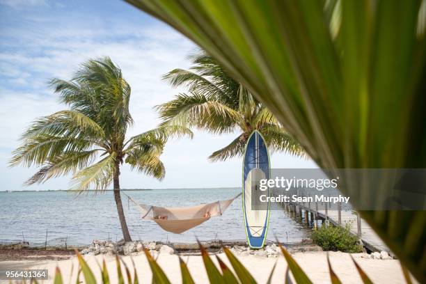 person relaxing in hammock between two palm trees, surf board resting against palm tree - entre deux photos et images de collection