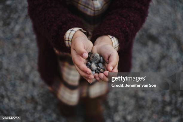 cropped view of girls cupped hands holding pebbles - oshawa 個照片及圖片檔