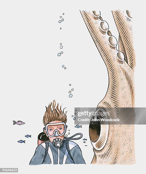 illustration of diver next to eye of giant squid (architeuthis) - humboldt squid stock illustrations